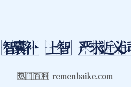 智囊补·上智·严求近义词是什么意思的图片